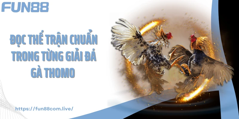 Đọc thế trận chuẩn trong từng giải đá gà thomo